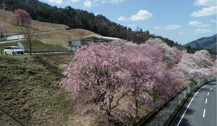 瑞穂地域の取組み